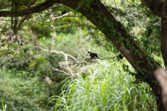 Bahia-Minas-2024_WT_0124