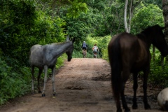 Bahia-Minas-2024_WT_0658